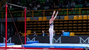 serie b 0745 simone ferraro ph